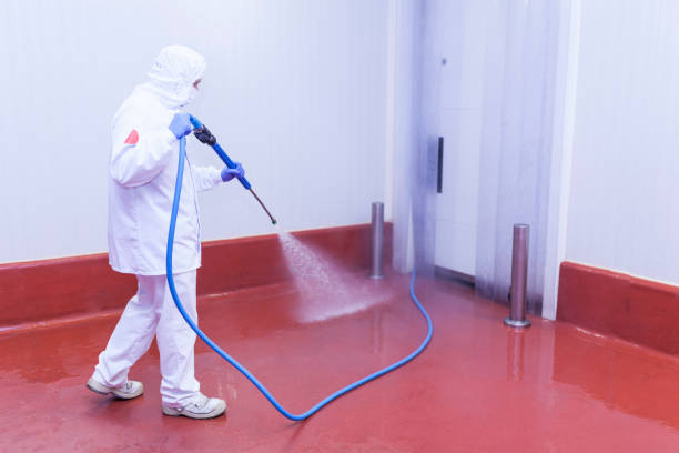 Best Playground Equipment Cleaning  in Pocono Springs, PA