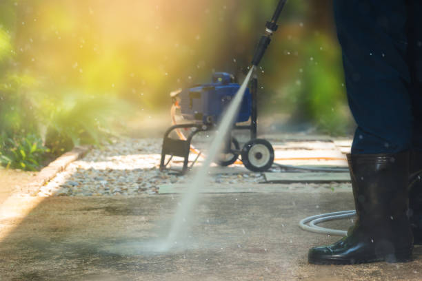 Animal Enclosure Cleaning in Pocono Springs, PA